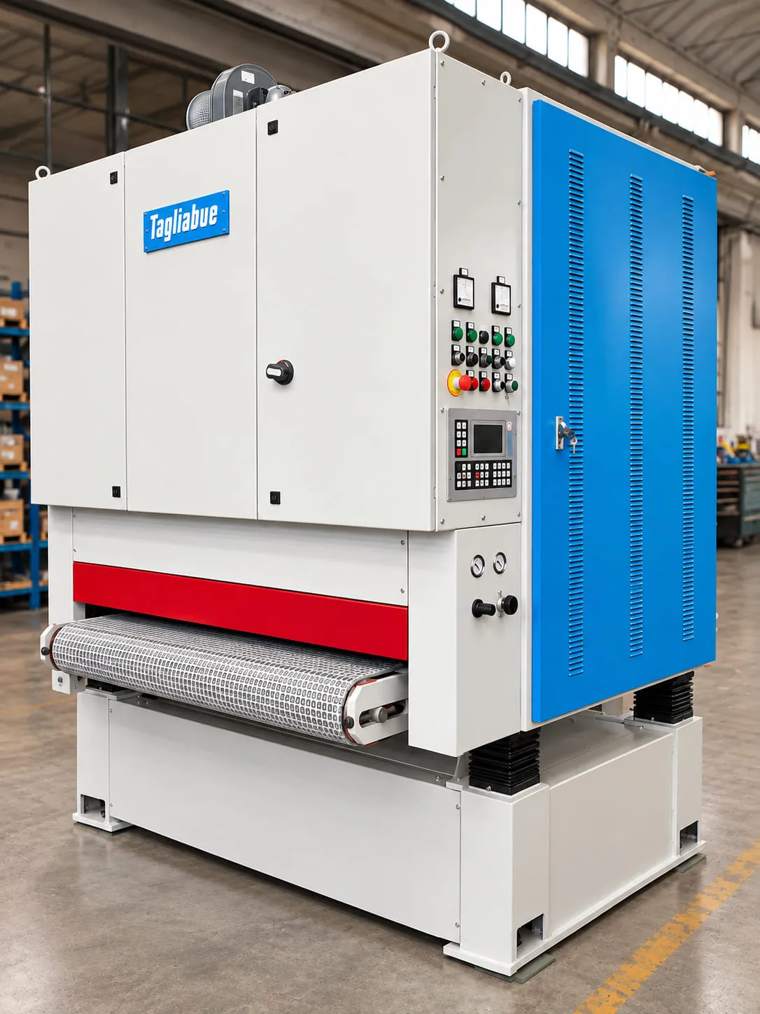 Used Tagliabue sanding machine with the doors closed